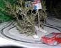 045_Rally