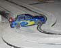 Rally